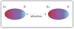 Intermolecular forces diagram
