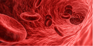 Respiration 1 - red blood cells
