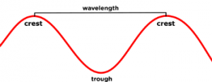 What is seeing Part 1 How most people ‘see’ - wave - a blog by The tutor team
